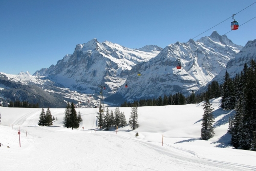 Sortie Grindelwald Libre + école de ski (SAMEDI)