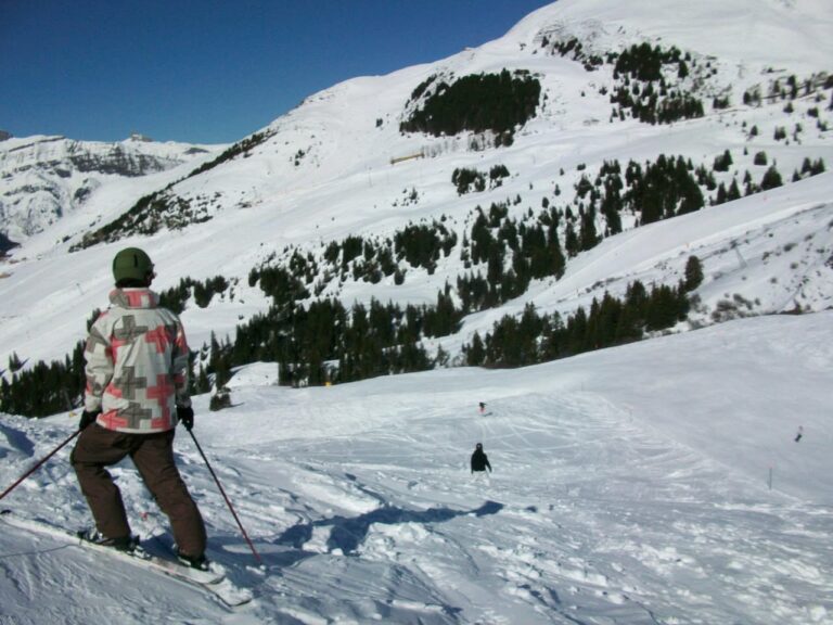 Grindelwald, 6 mars 2011