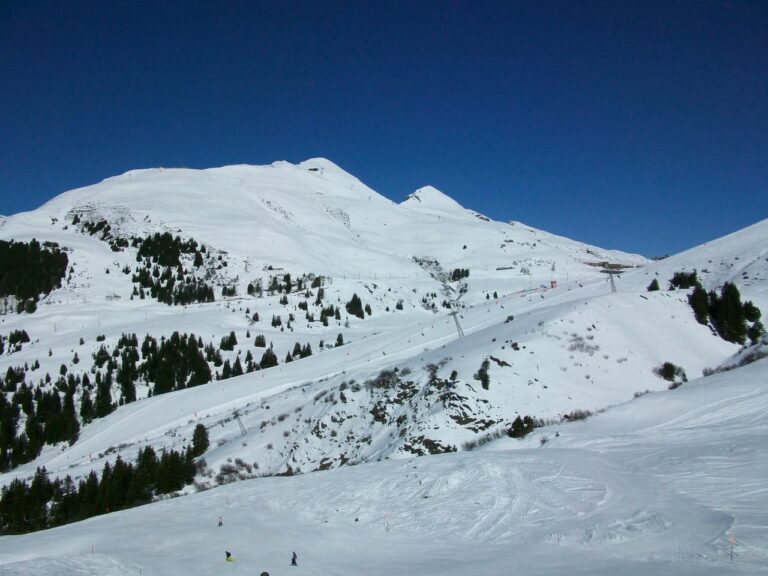 Grindelwald, 6 mars 2011