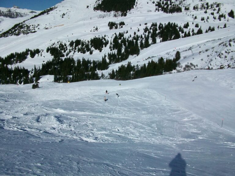 Grindelwald, 6 mars 2011
