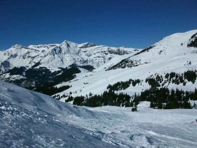 Grindelwald, 6 mars 2011