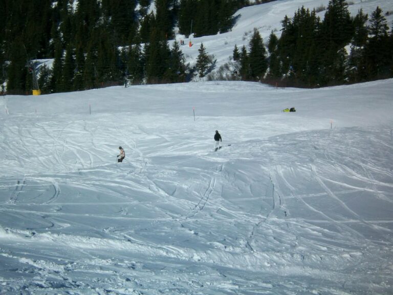 Grindelwald, 6 mars 2011