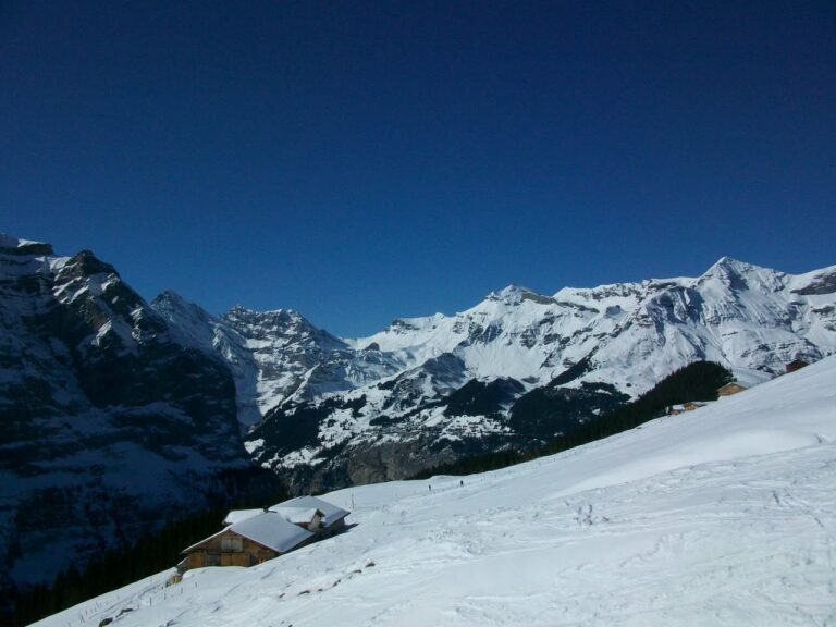 Grindelwald, 6 mars 2011