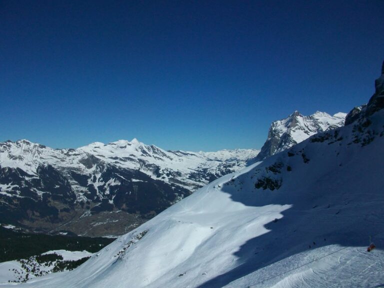 Grindelwald, 6 mars 2011
