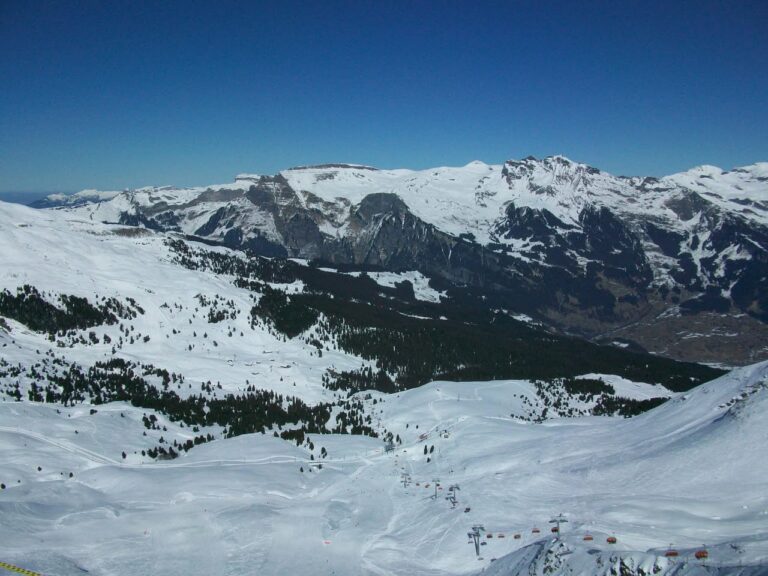 Grindelwald, 6 mars 2011