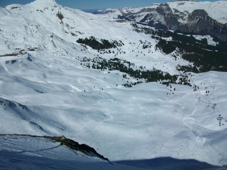 Grindelwald, 6 mars 2011