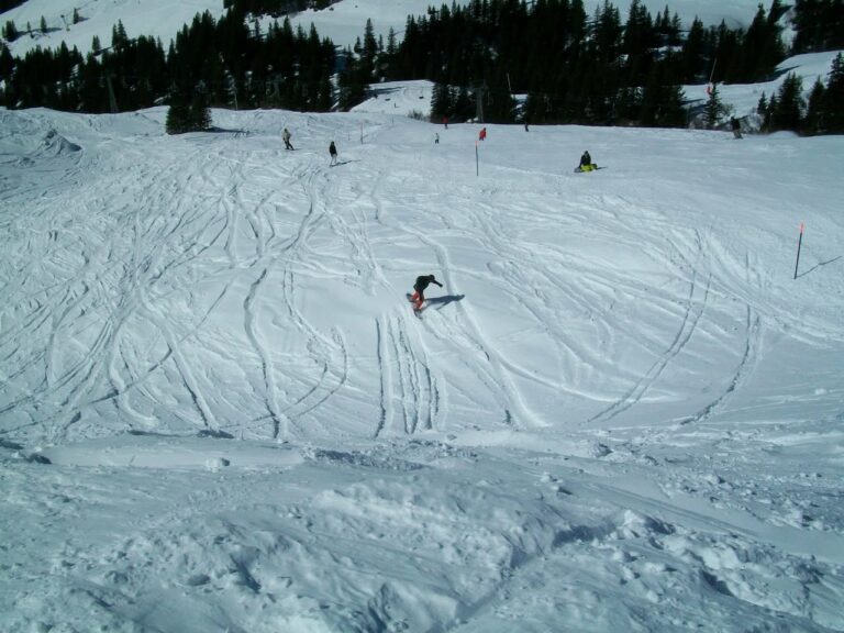 Grindelwald, 6 mars 2011