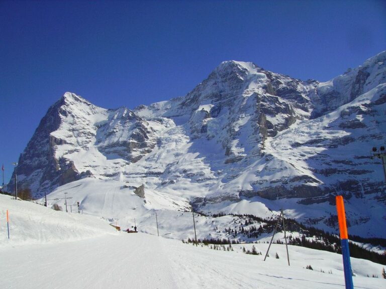 Grindelwald, 3 mars 2013