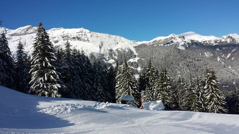Weekend à Grindelwald