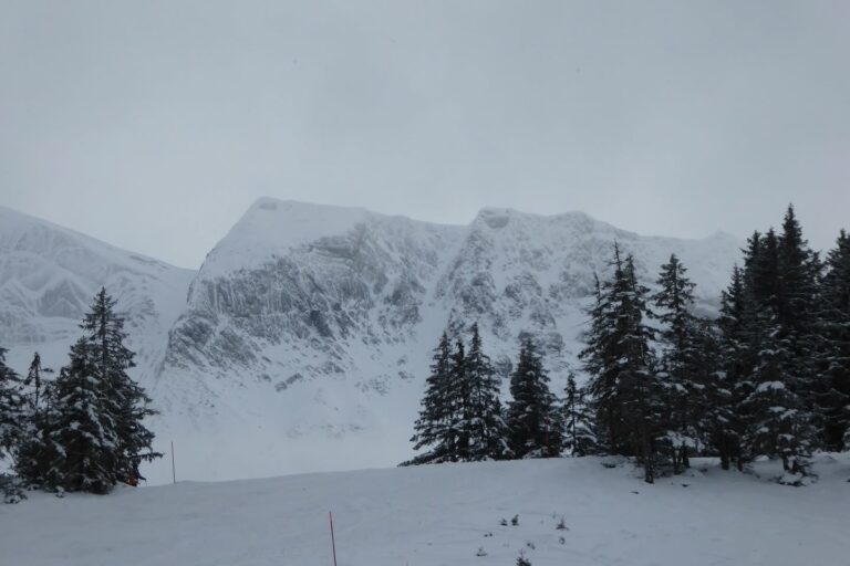 Première sortie réussie