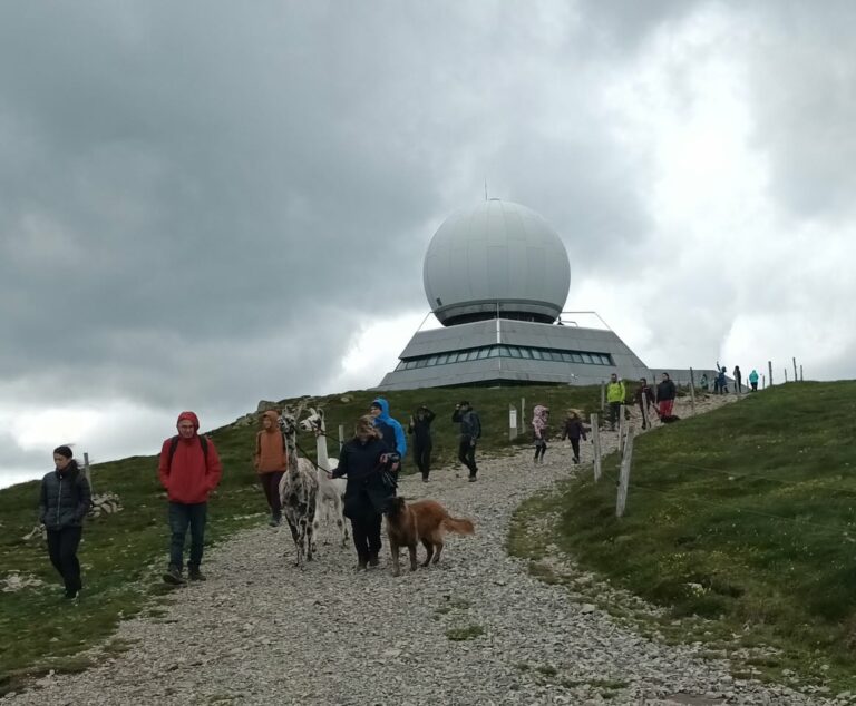 Très belle journée au chalet René Girny, merci à tous les partici