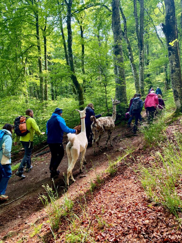 Très belle journée au chalet René Girny, merci à tous les partici