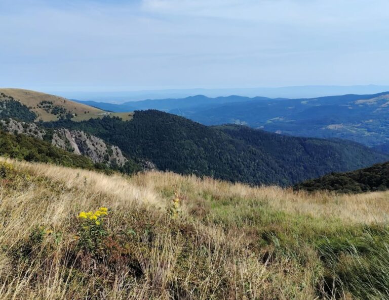 Très belle randonnée, au départ du Gaschney