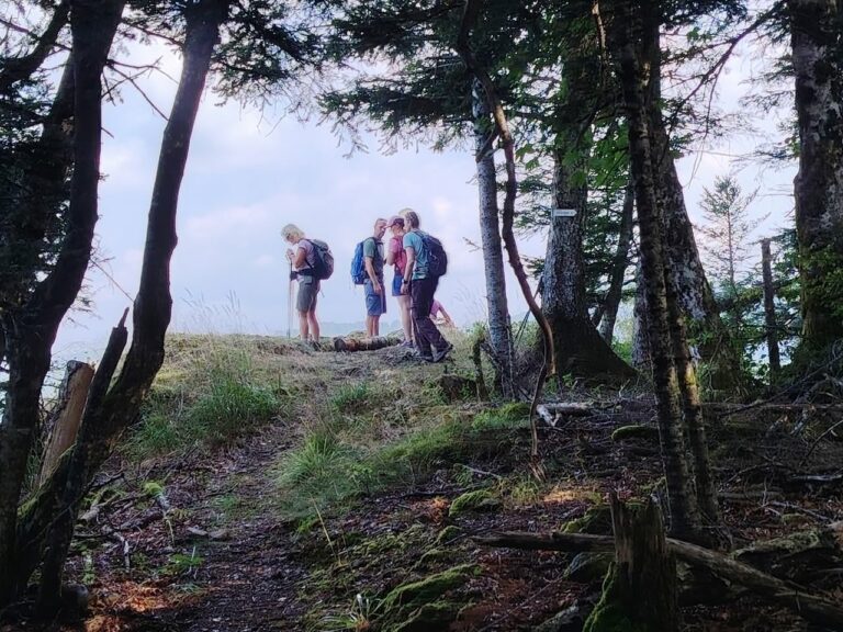 Belle randonnée vosgienne, au départ de Masevaux