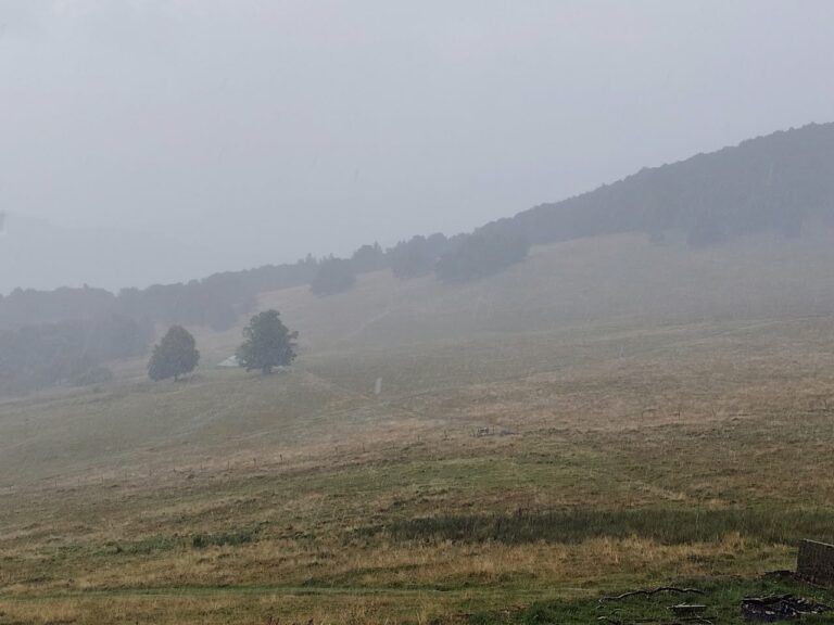 Belle randonnée vosgienne, au départ de Masevaux