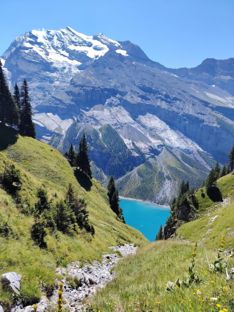 Magnifiques Montagnes