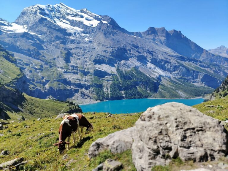 Magnifiques Montagnes