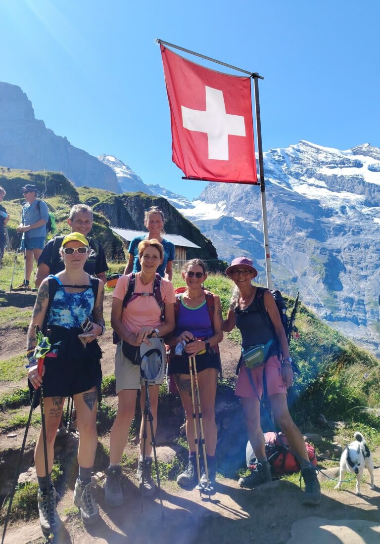 Magnifiques Montagnes