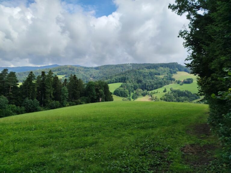 Randonnée en Forêt Noire