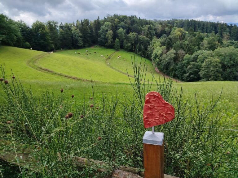 Randonnée en Forêt Noire