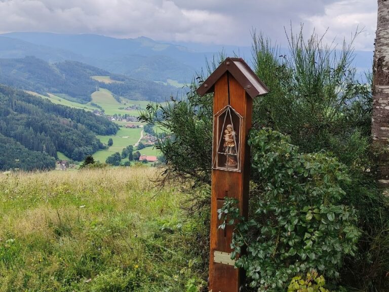 Randonnée en Forêt Noire