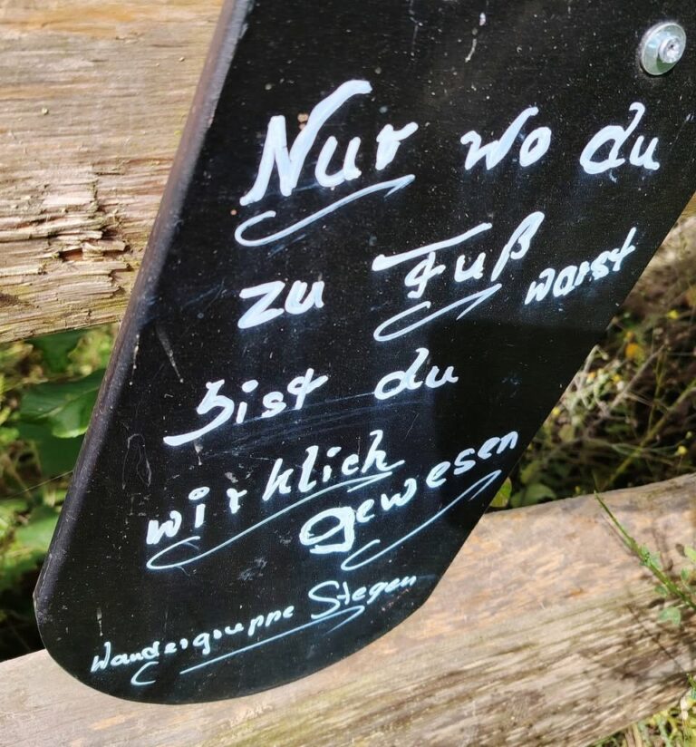 Randonnée en Forêt Noire