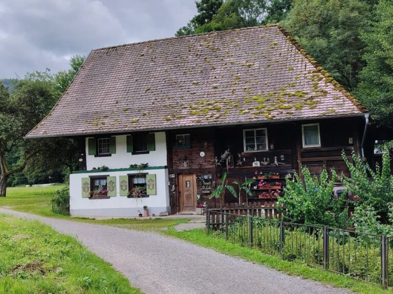 Randonnée en Forêt Noire