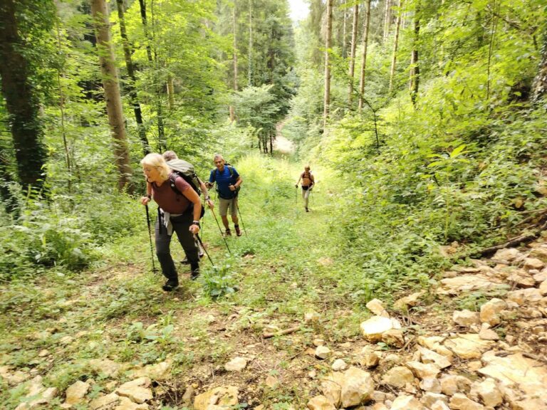 Randonnée autour du Morimont, 22km, +650 m, on reste en forme