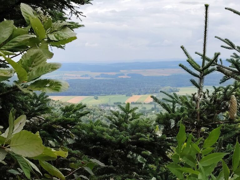 Randonnée autour du Morimont, 22km, +650 m, on reste en forme
