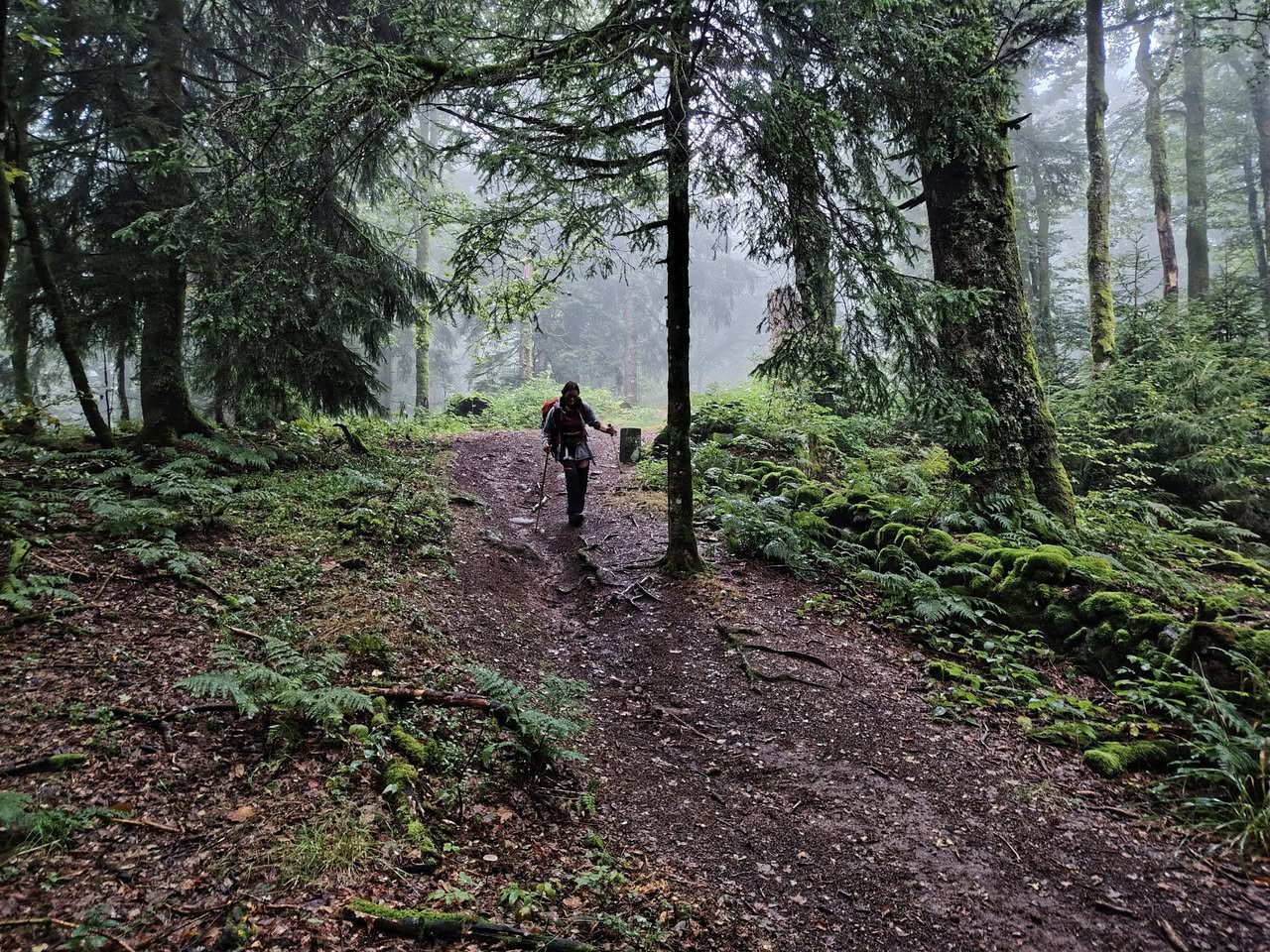 Randonnée au départ du Col de Bussang