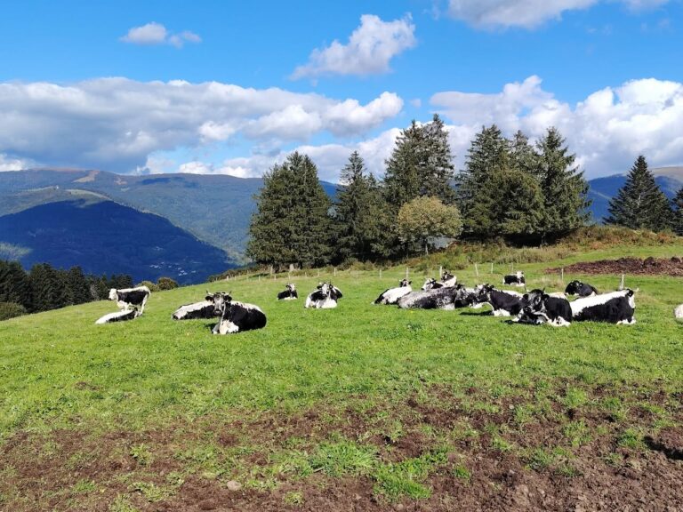 Et toujours des randonnées, Le Drumont