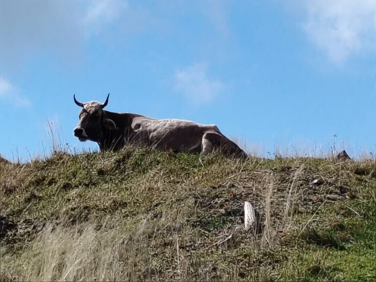 Et toujours des randonnées, Le Drumont