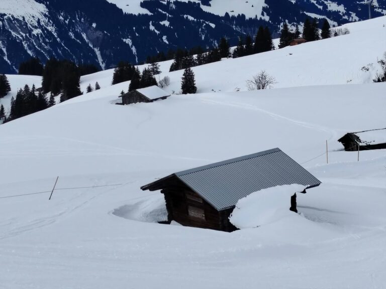 Adelboden, sortie du 17 janvier, très belle sortie