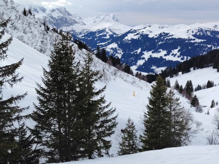 Adelboden, sortie du 17 janvier, très belle sortie